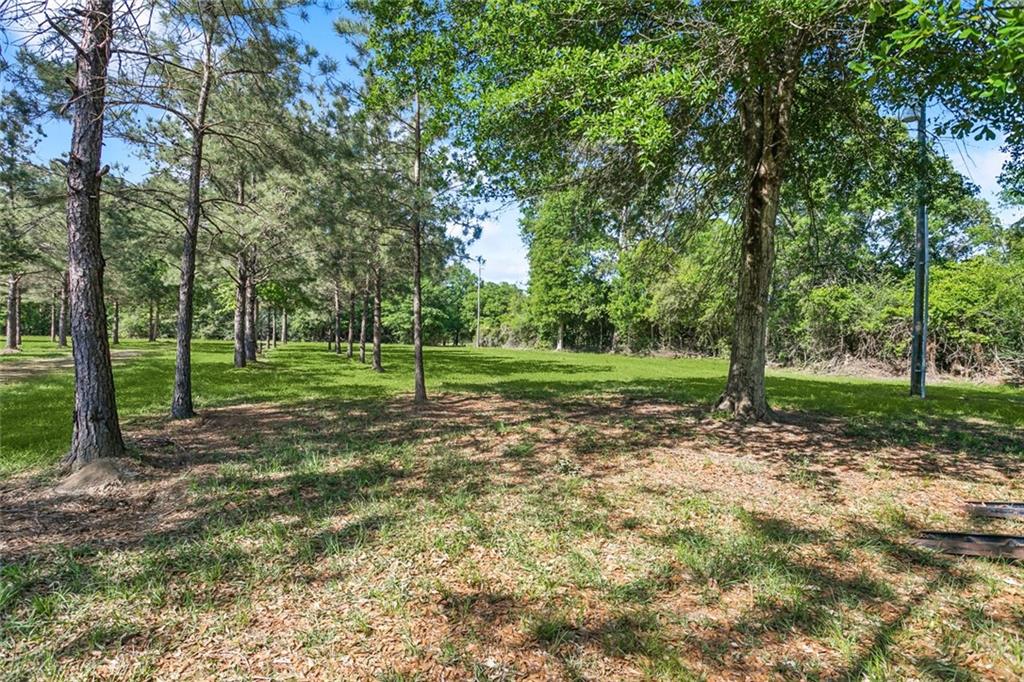51136 Wig Lane, Loranger, Louisiana image 13