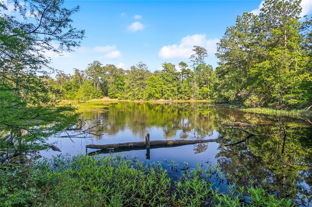 51136 Wig Lane, Loranger, Louisiana image 14