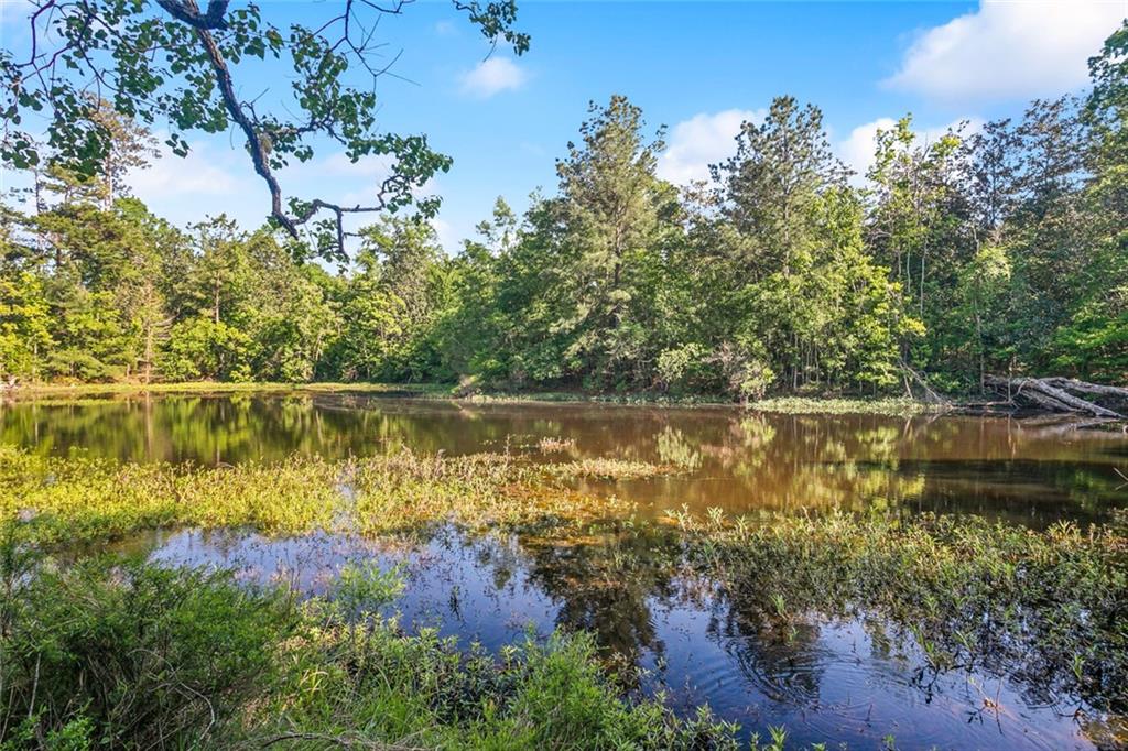 51136 Wig Lane, Loranger, Louisiana image 15