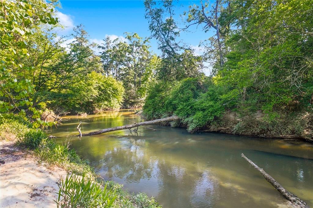 51136 Wig Lane, Loranger, Louisiana image 20