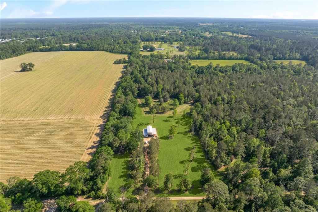 51136 Wig Lane, Loranger, Louisiana image 22