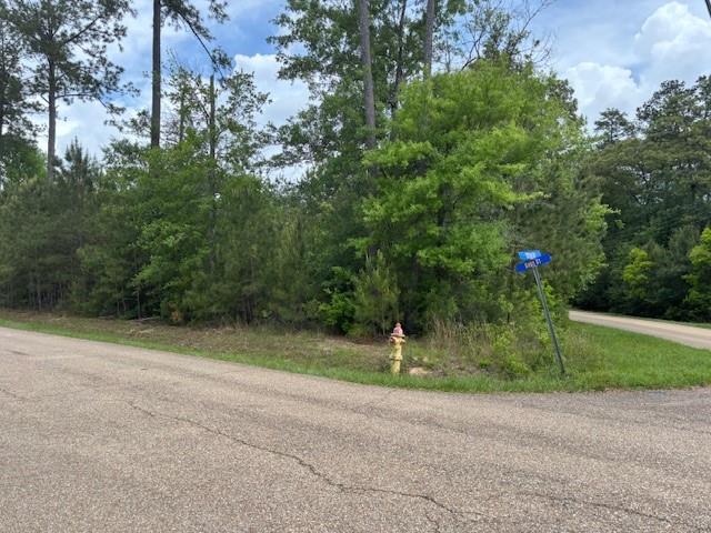 N 12th Street, Covington, Louisiana image 1