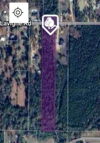 24458 Harvey Lavigne Road, Ponchatoula, Louisiana image 2