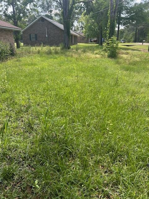 24433 Marie Court, Loranger, Louisiana image 2
