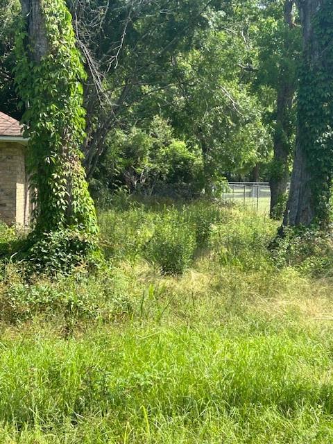 24433 Marie Court, Loranger, Louisiana image 3