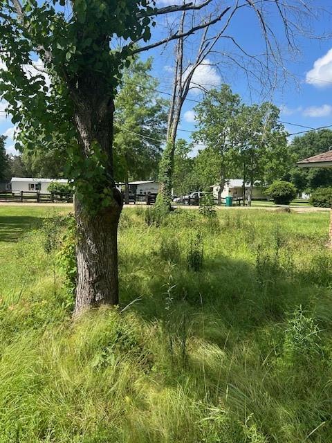 24433 Marie Court, Loranger, Louisiana image 6