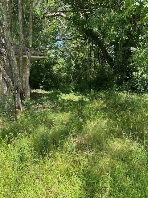24433 Marie Court, Loranger, Louisiana image 7
