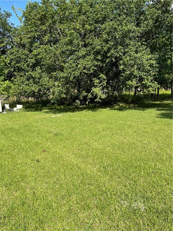 12073 Old Baton Rouge Highway, Hammond, Louisiana image 18