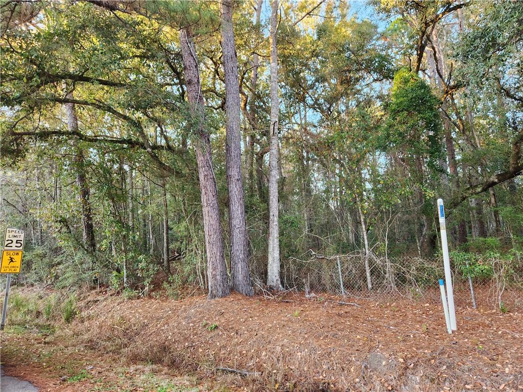 Sigrid Lane, Slidell, Louisiana image 1