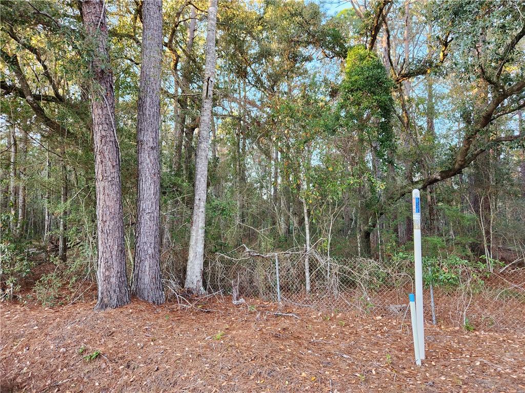 Sigrid Lane, Slidell, Louisiana image 2