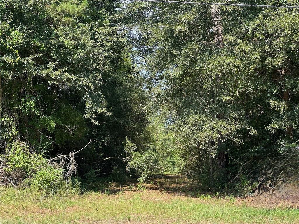 Highway 40 Highway, Bush, Louisiana image 4
