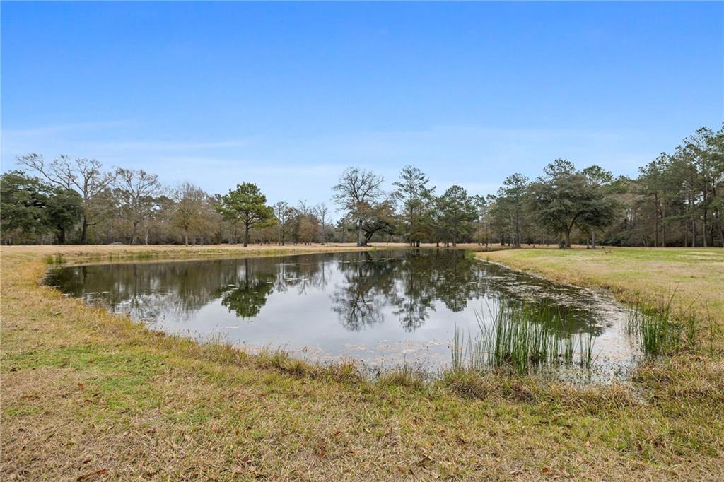 47450 Morris Road, Hammond, Louisiana image 10