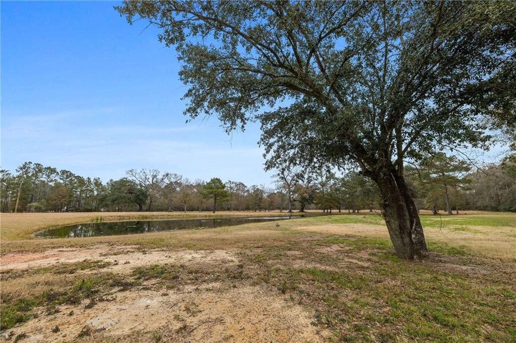 47450 Morris Road, Hammond, Louisiana image 12