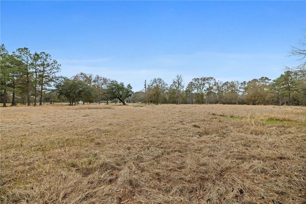 47450 Morris Road, Hammond, Louisiana image 16