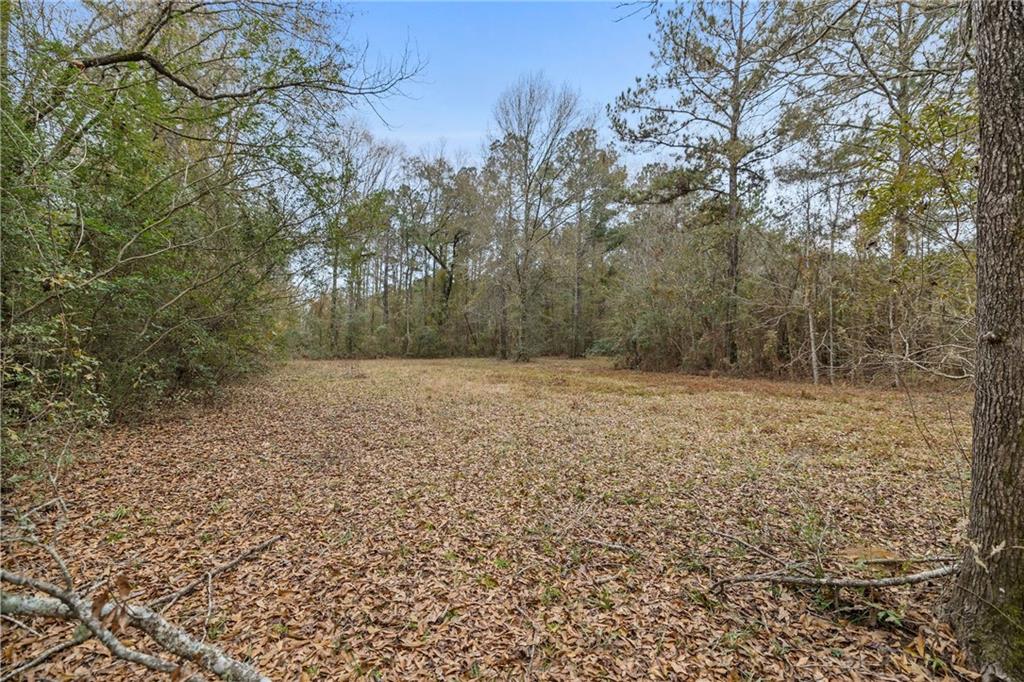 47450 Morris Road, Hammond, Louisiana image 17