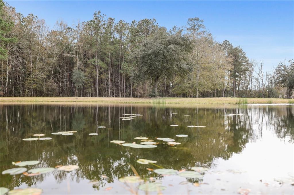47450 Morris Road, Hammond, Louisiana image 23