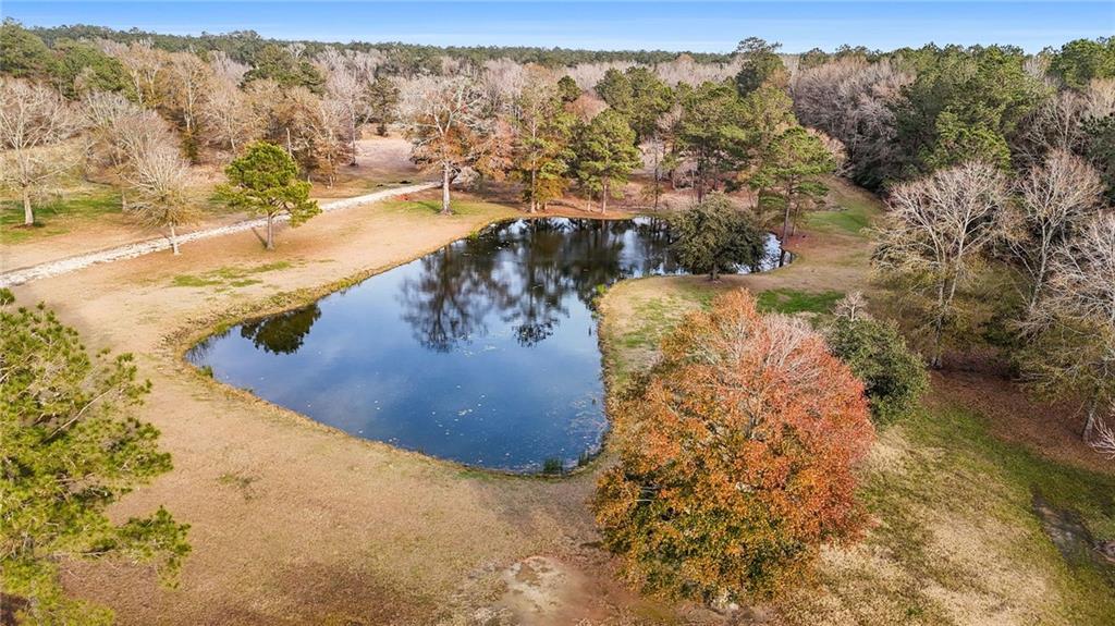 47450 Morris Road, Hammond, Louisiana image 26