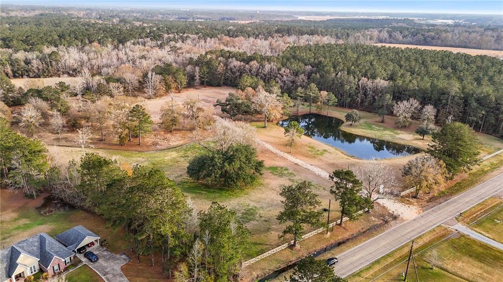 47450 Morris Road, Hammond, Louisiana image 29
