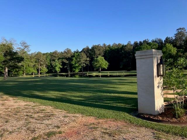 47450 Morris Road, Hammond, Louisiana image 5