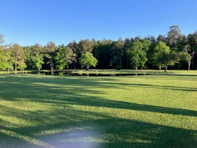 47450 Morris Road, Hammond, Louisiana image 6