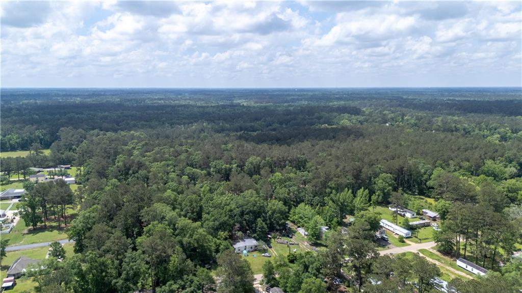 16152 Trapen Lane, Tickfaw, Louisiana image 12