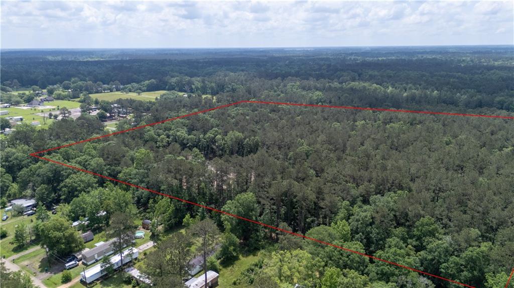 16152 Trapen Lane, Tickfaw, Louisiana image 18