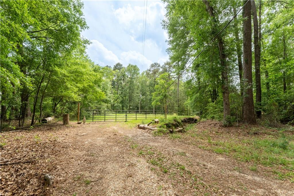 16152 Trapen Lane, Tickfaw, Louisiana image 2