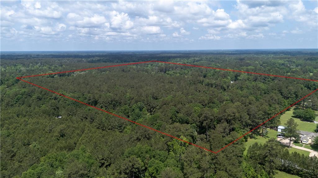 16152 Trapen Lane, Tickfaw, Louisiana image 23