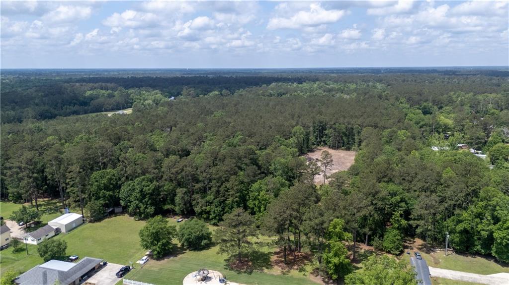 16152 Trapen Lane, Tickfaw, Louisiana image 28