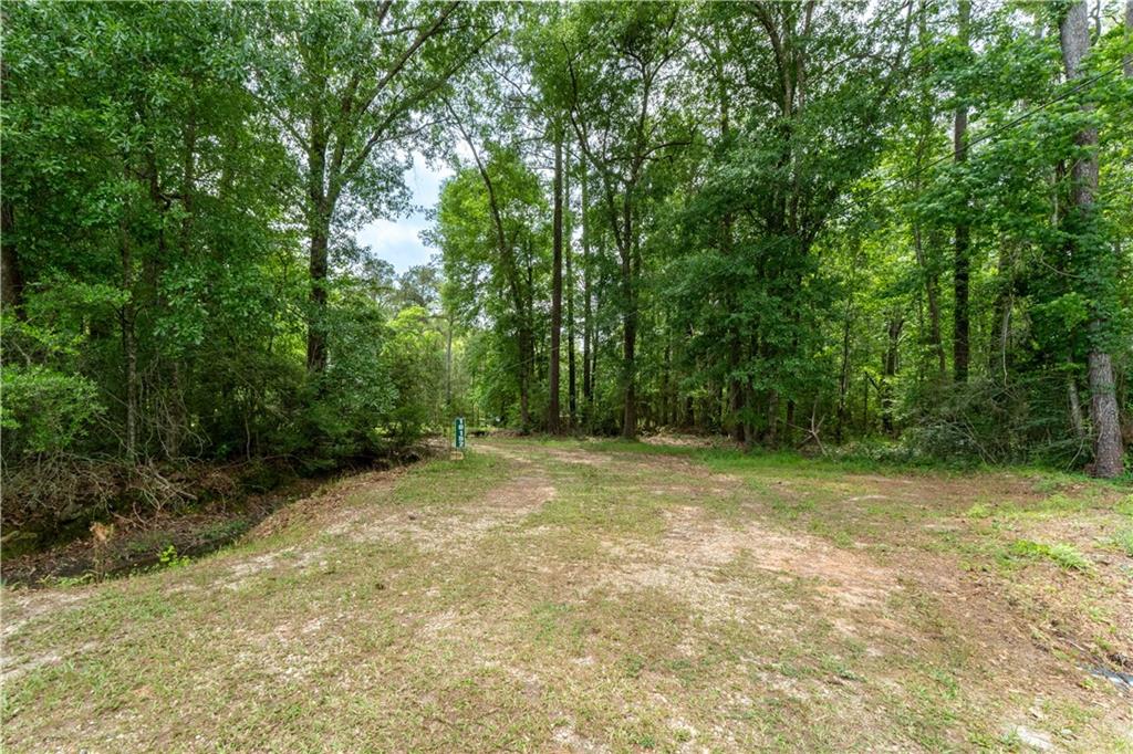 16152 Trapen Lane, Tickfaw, Louisiana image 5