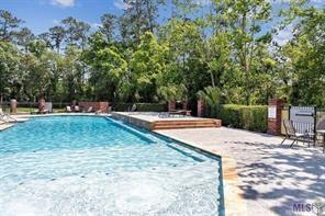 24195 Snowy Egret Cove, Springfield, Louisiana image 5
