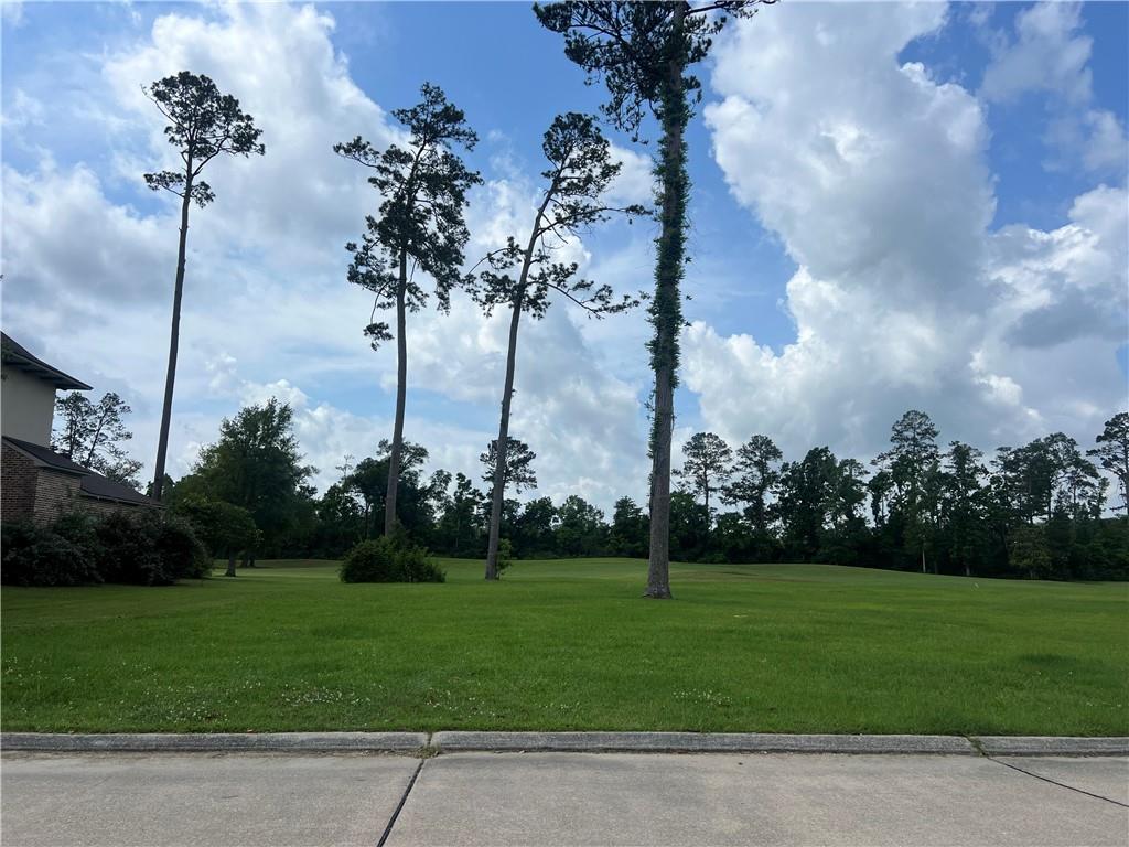 24215 Snowy Egret Cove, Springfield, Louisiana image 1
