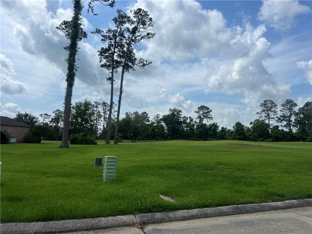 24215 Snowy Egret Cove, Springfield, Louisiana image 2