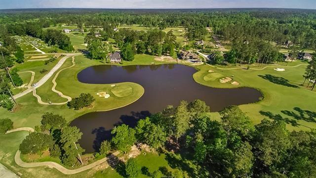 24215 Snowy Egret Cove, Springfield, Louisiana image 7