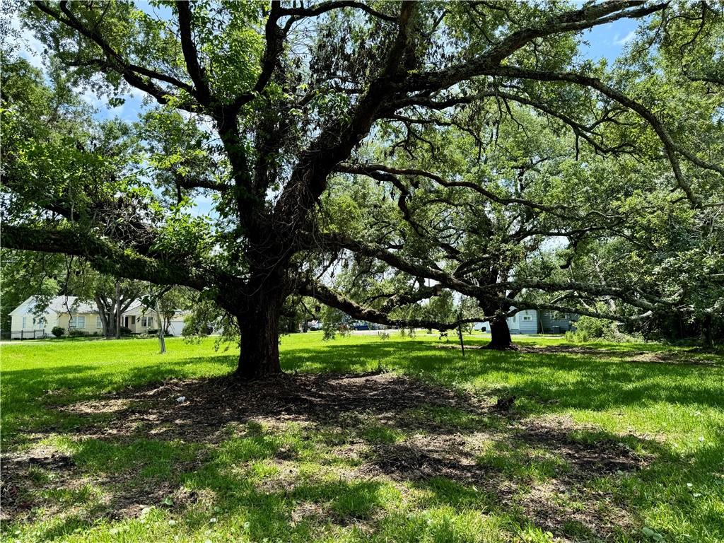 LOT 14 Main Street, La Place, Louisiana image 2