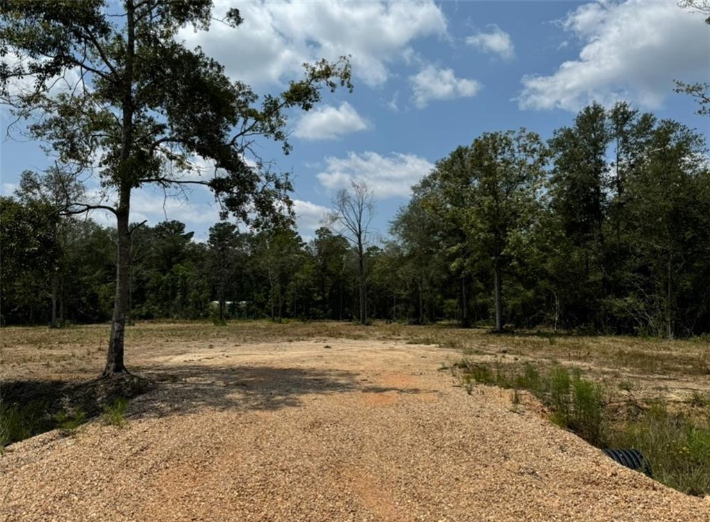 445 Highway, Loranger, Louisiana image 1