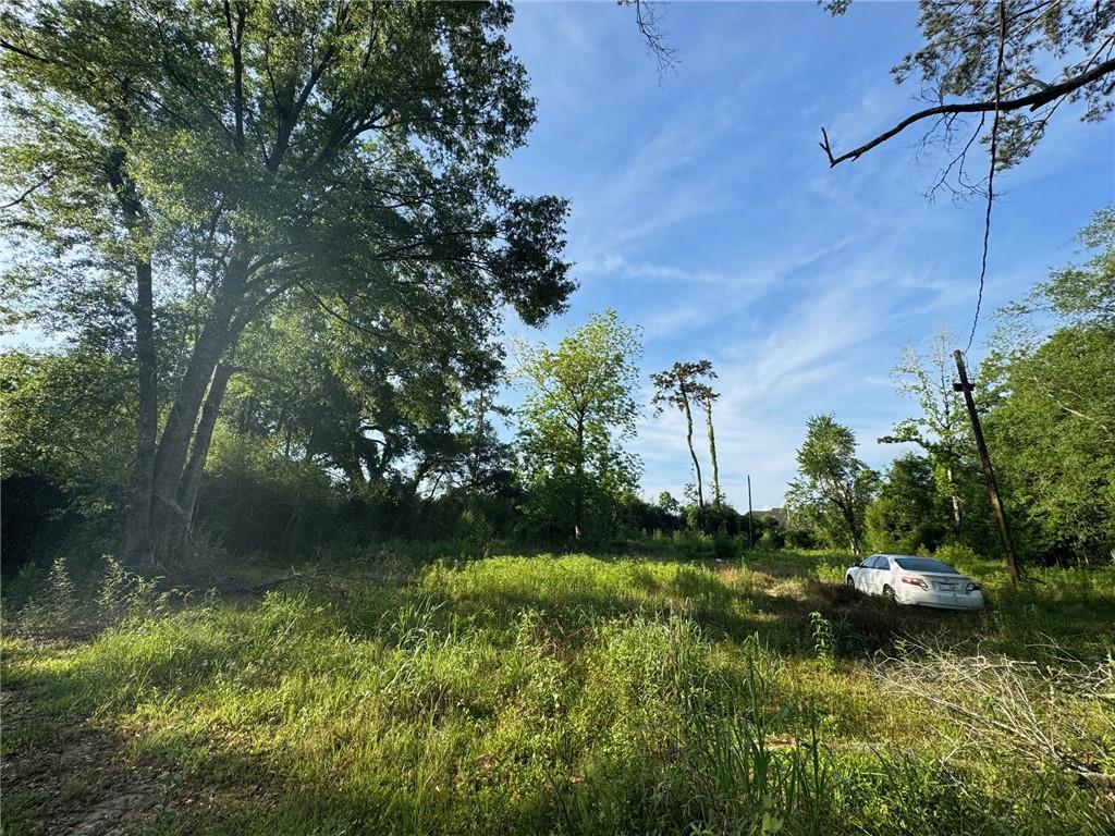 17188 East Park Avenue, Hammond, Louisiana image 2