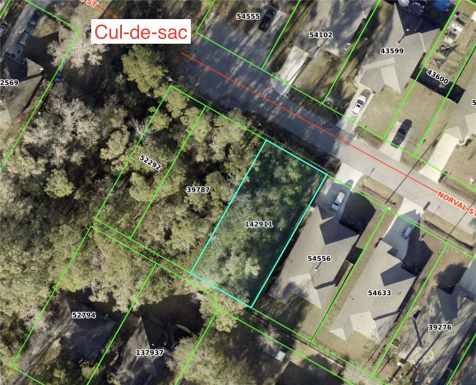 832 N Norval Street, Mandeville, Louisiana image 1