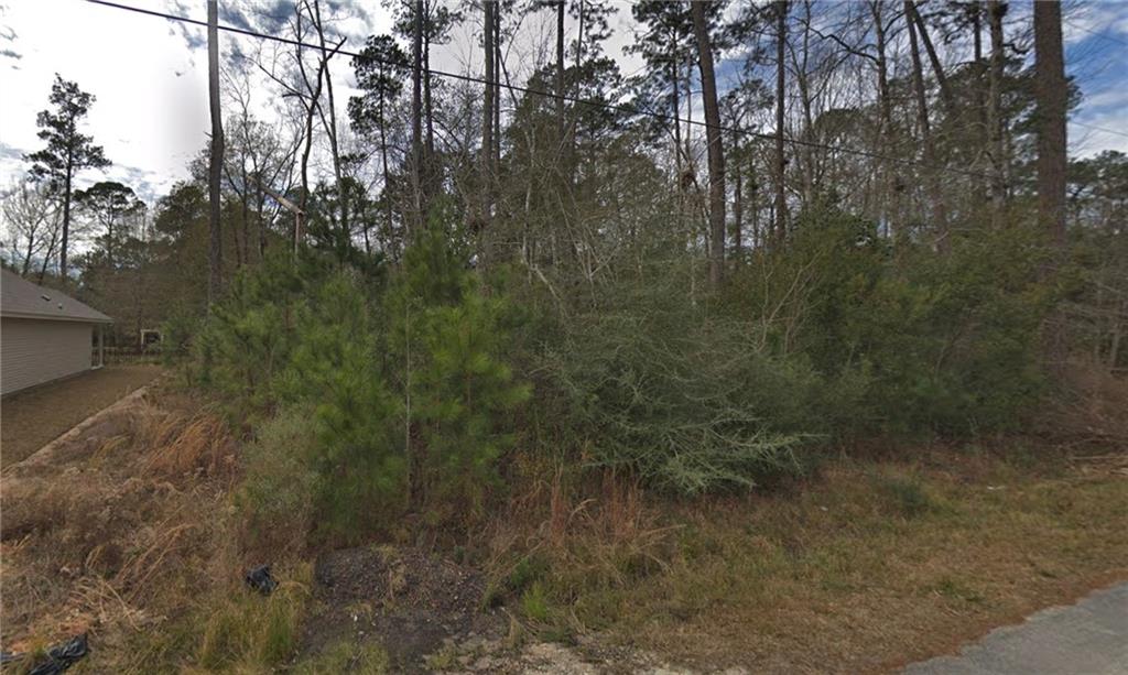 832 N Norval Street, Mandeville, Louisiana image 3