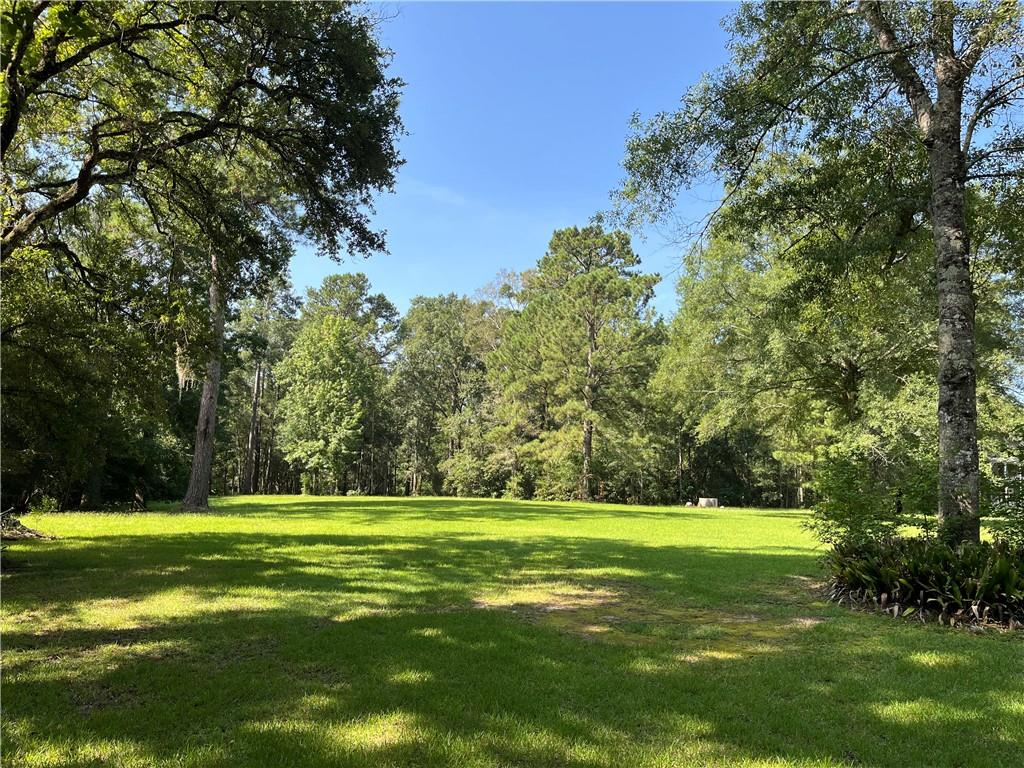 72401 Hwy 59 Highway, Abita Springs, Louisiana image 1