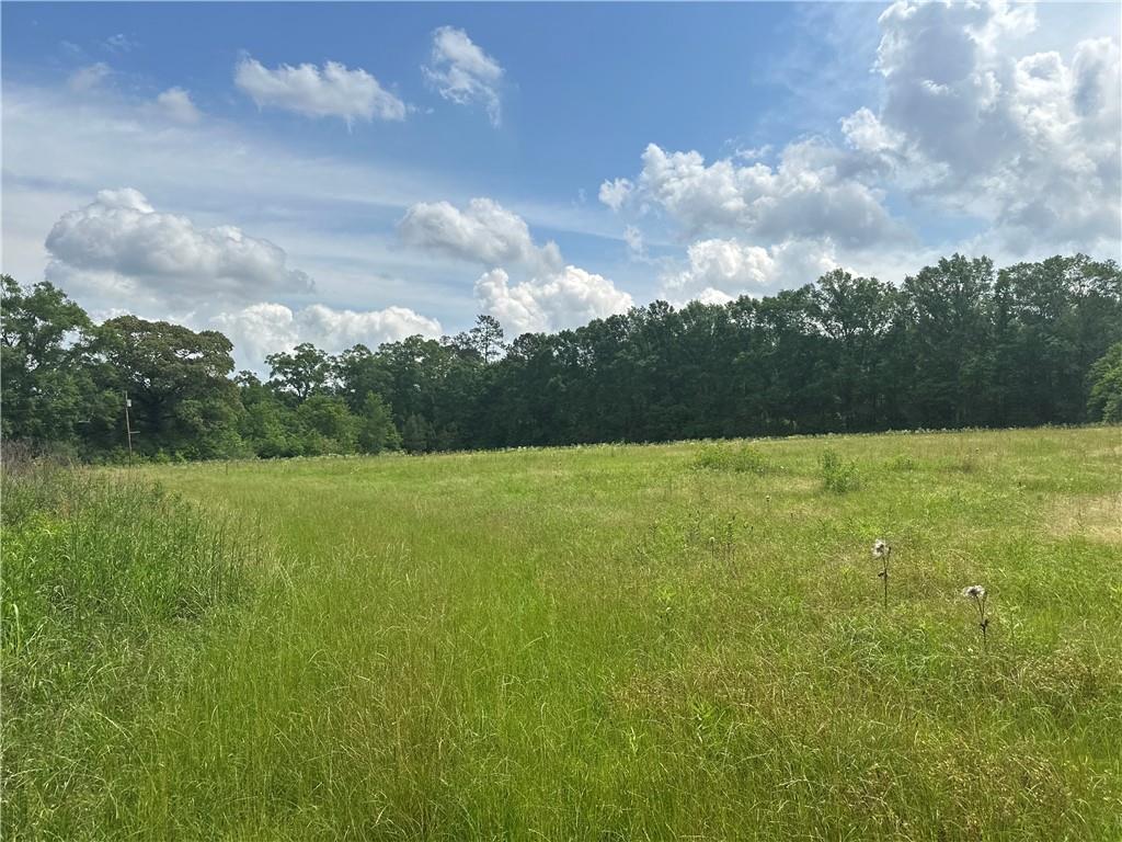 28336 Highway 424 Highway, Franklinton, Louisiana image 1