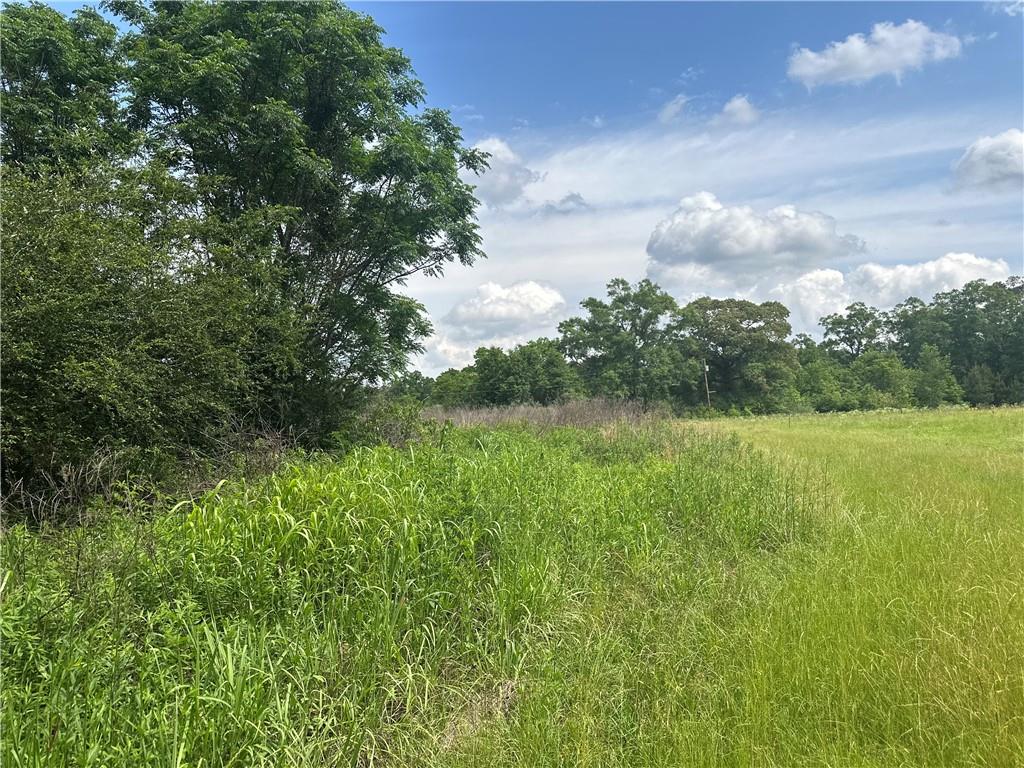 28336 Highway 424 Highway, Franklinton, Louisiana image 2