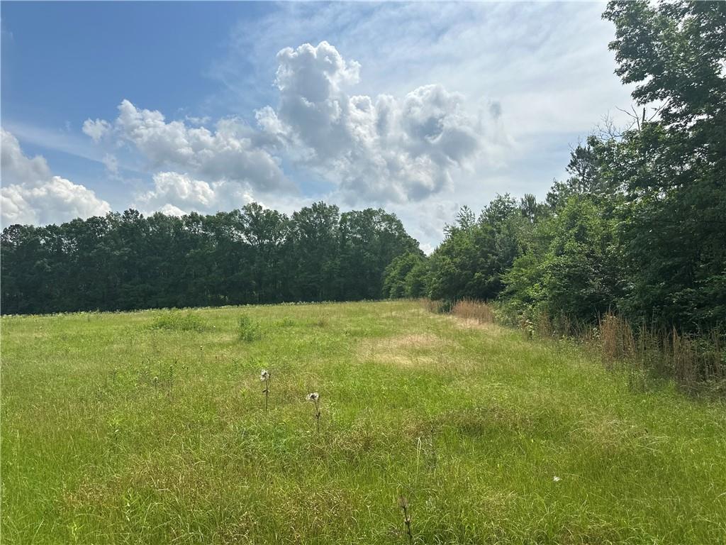 28336 Highway 424 Highway, Franklinton, Louisiana image 3