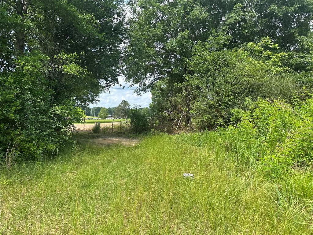 28336 Highway 424 Highway, Franklinton, Louisiana image 4