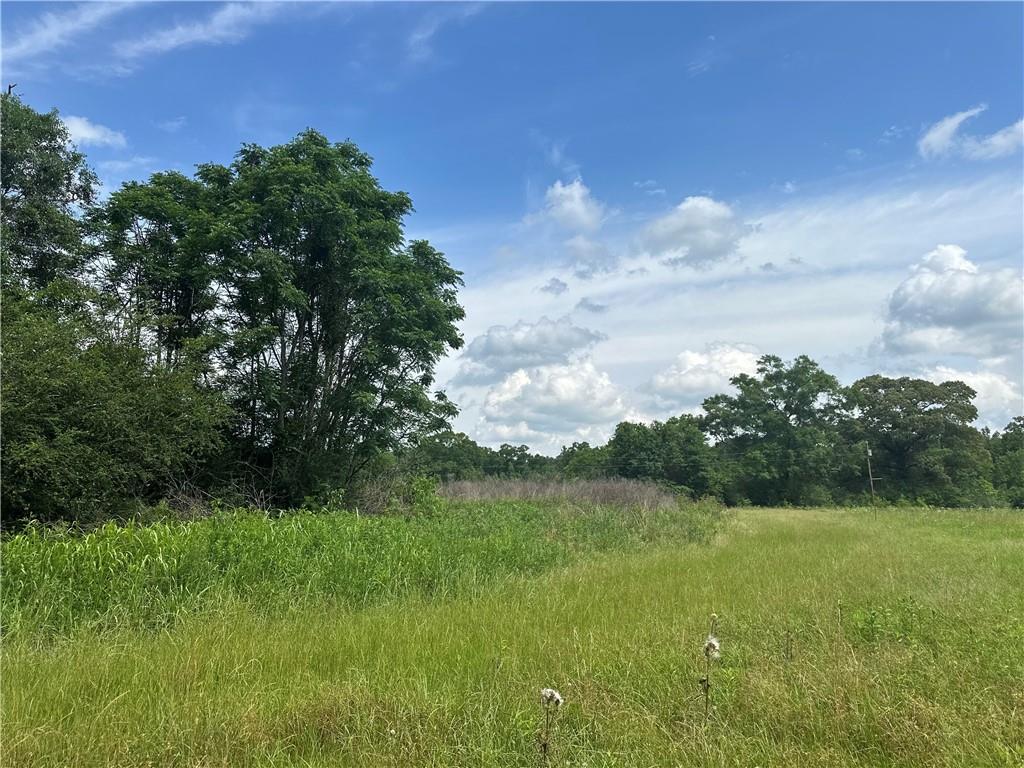 28336 Highway 424 Highway, Franklinton, Louisiana image 5