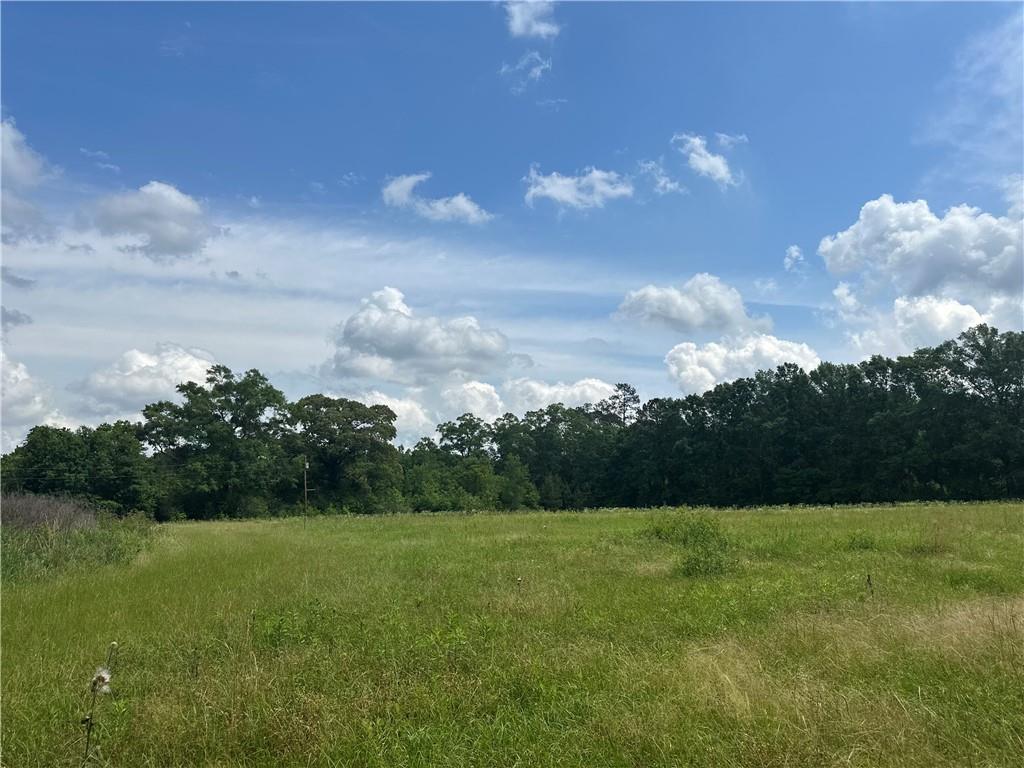 28336 Highway 424 Highway, Franklinton, Louisiana image 6