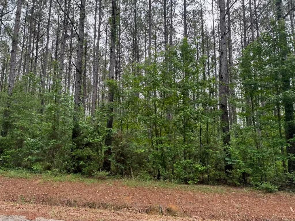 Newman Briigs Road, Kentwood, Louisiana image 5