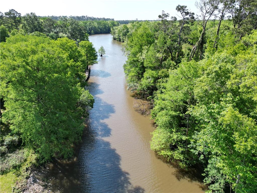 31814 River Pines Drive, Springfield, Louisiana image 20