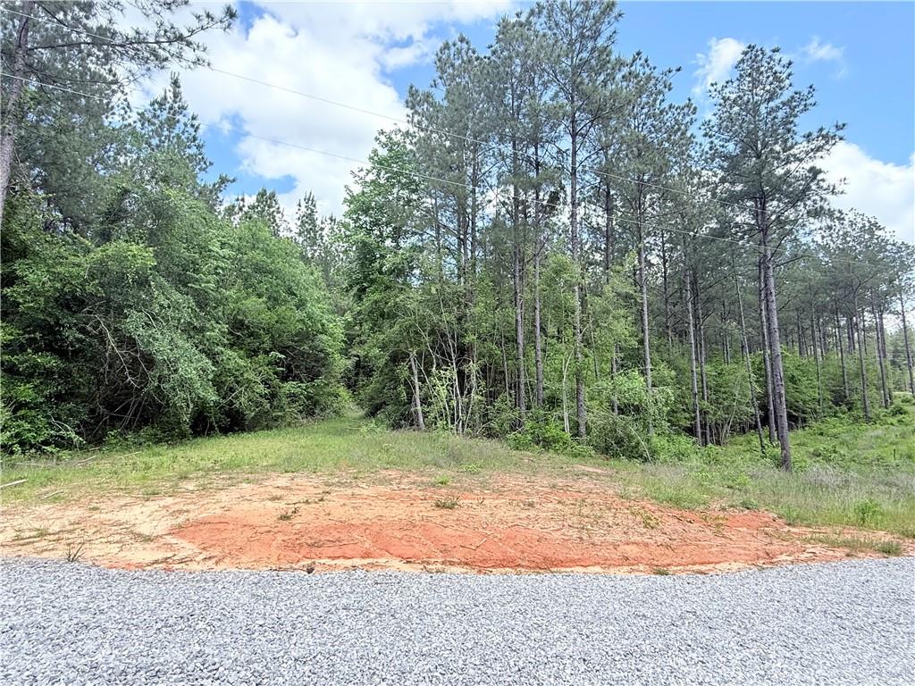 Lot 19 Caro Lane, Franklinton, Louisiana image 1