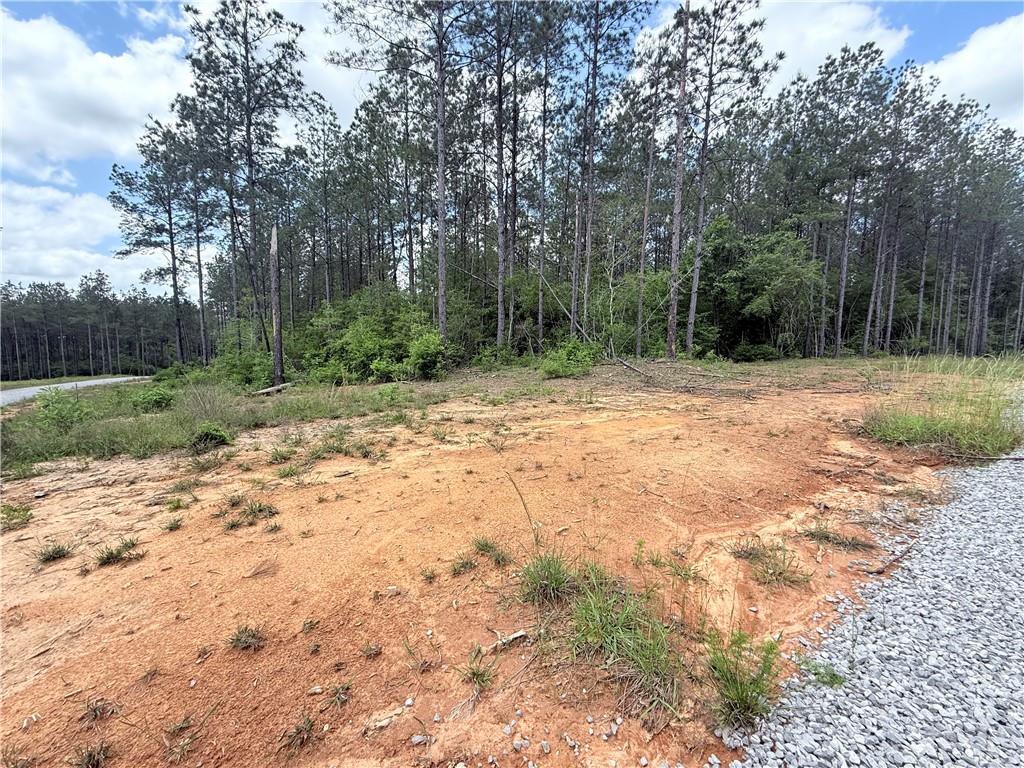 Lot 19 Caro Lane, Franklinton, Louisiana image 5